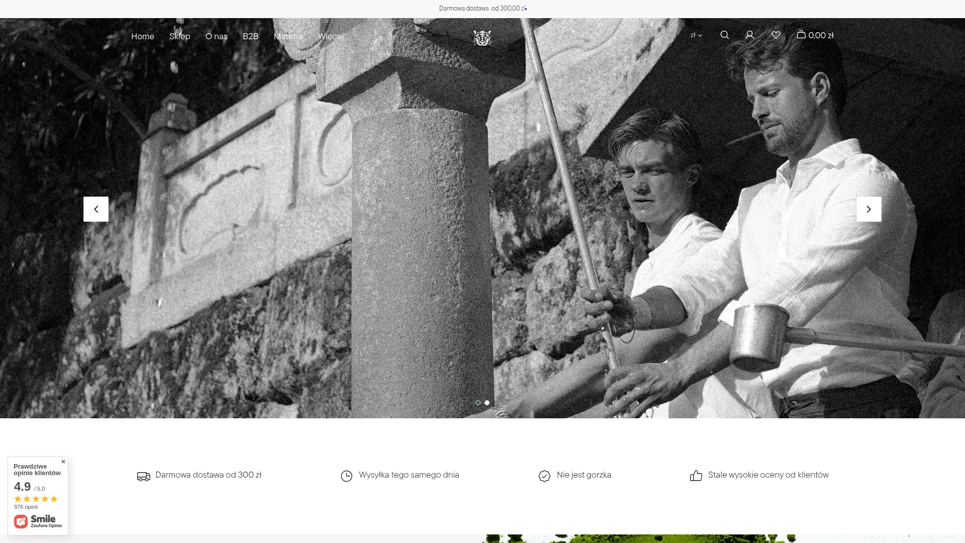 Zrzut ekranu strony